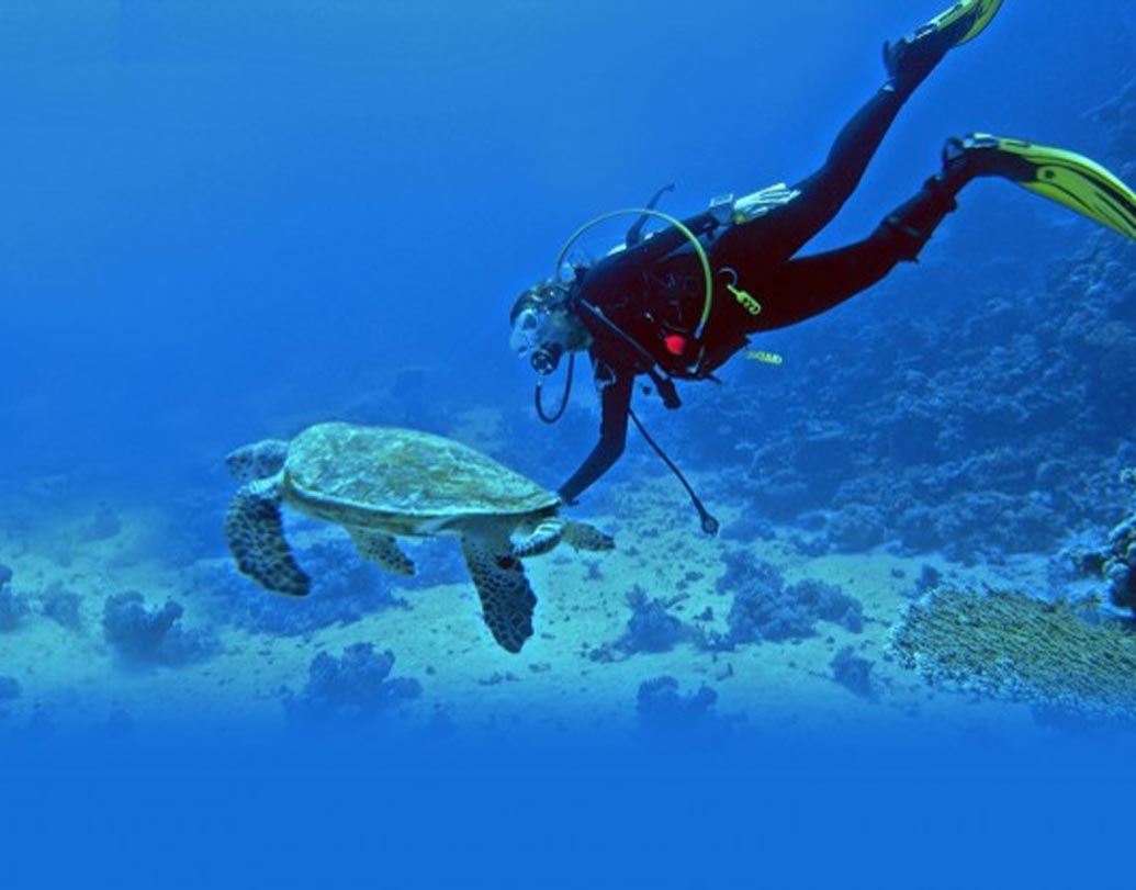 স্নরকেলিং-স্কুবা ডাইভিং: আন্দামান দ্বীপপুঞ্জ, কর্নাটকের নেত্রানি কিংবা লাক্ষাদ্বীপ, সারা বিশ্বের পর্যটকরা আসেন সমুদ্রের নীচের জগৎটাকে দেখতে। ডাইভিং মাস্ক, আর পায়ে ফিন-শু দিয়ে তবেই সমুদ্রে ঝাঁপ দেওয়া যাবে।