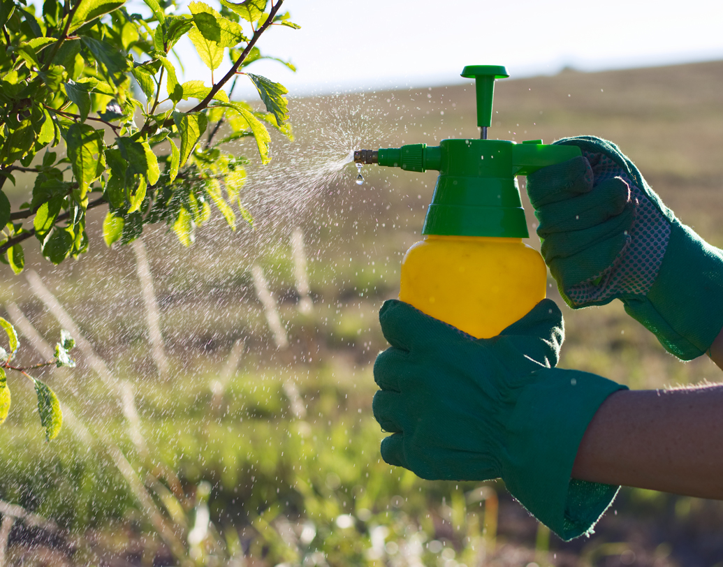 জোলো ও স্যাঁতসেঁতে আবহাওয়ায় বাড়ির সদস্যদের স্বাস্থ্যের বিষয়টিও মাথায় রাখুন। ভুল করেও জল জমতে দেবেন না আশপাশে। মশা ও অন্যান্য পোকামাকড় রুখতে পেস্টিসাইড ব্যবহার করুন। এক দিন অন্তর ব্লিচিং পাউডার ও কার্বলিক অ্যাসিড ছড়ান বাড়ির চারপাশে। ছবি: শাটারস্টক।