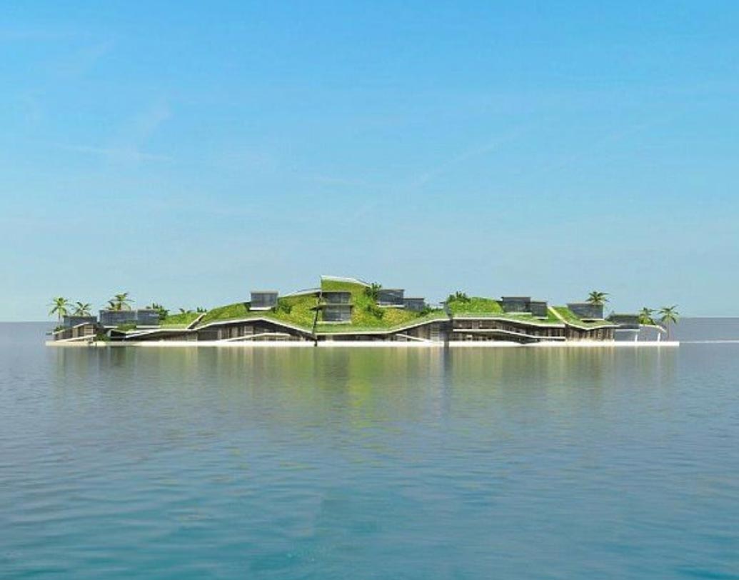 ২০১৭ সালে প্রথম এমন একটি দেশ তৈরির পরিকল্পনার কথা জানায় ব্লু-ফ্রনিটারস এবং সিস্টিডিং ইনস্টিটিউট। গোটা প্রকল্পটি তাদেরই মস্তিষ্কপ্রসূত। এর নাম দেওয়া হয়েছে ‘ফ্রেঞ্চ পলিনেশিয়া প্রজেক্ট’।