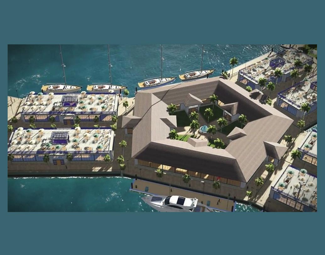 গোটা দেশটি তৈরি হতে কত খরচ পড়বে জানেন? প্রকল্পের মুখ্য বিনিয়োগকারী পিটার থিয়েল জানিয়েছেন, এখনও পর্যন্ত যা পরিকল্পনা করা হয়েছে তাতে মোট খরচ হতে পারে প্রায় সাড়ে তিনশো কোটি টাকা। তবে, এখানেই শেষ নয়। ২০৫০ সালের মধ্যে এমন আরও ভাসমান দেশ তৈরির পরিকল্পনা করেছে ব্লু-ফ্রনিটারস।