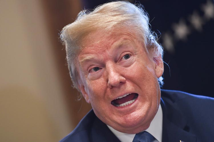 Youth, conservatism not only factors in Trump's pick for SC