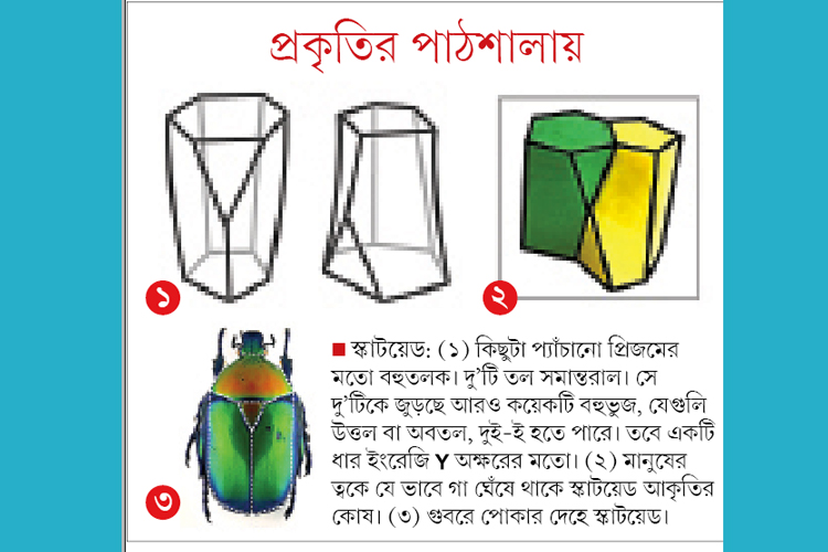 Scientists discover a strange new shape