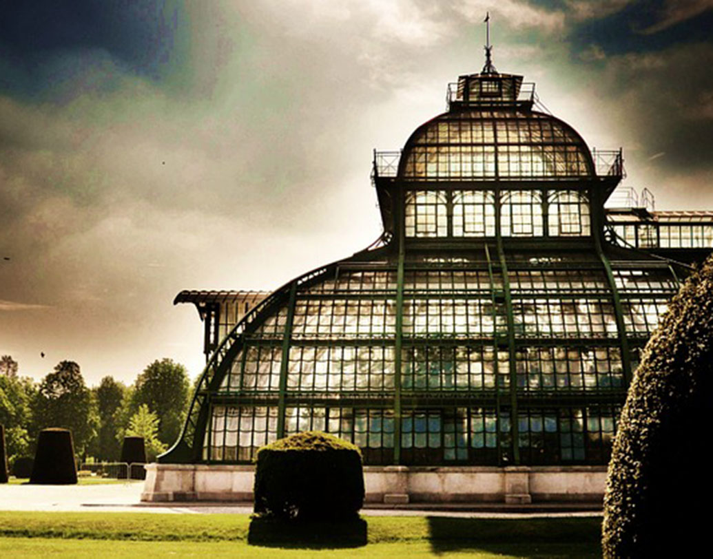 ঐতিহাসিক ভিয়েনায় রয়েছে স্প্যানিশ রাইডিং স্কুলের মতো বিশ্বখ্যাত স্কুল। সেন্ট স্টিফেন্স ক্যাথেড্রাল, বেলভেডিয়ার কমপ্লেক্স বা হফবার্গ ইম্পেরিয়াল প্যালেসের মতো জায়গাতেই দেখা যায় বহু ট্যুরিস্ট।