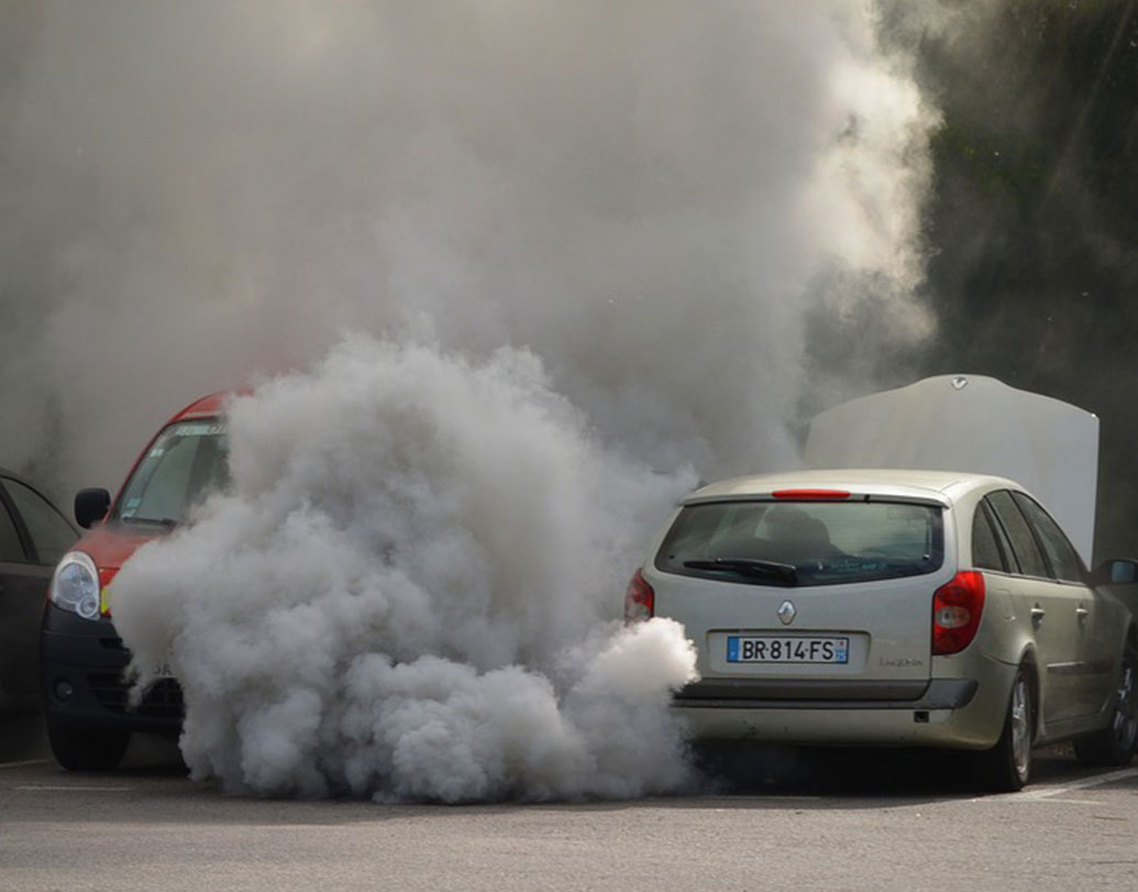টি অ্যান্ড ই-র দাবি, বায়ু দূষণের মাত্রা সবচেয়ে বেশি লন্ডনে। তার পরেই রয়েছে প্যারিসে। পিছিয়ে নেই ইস্তানবুল, বার্সেলোনা, আমস্টারডাম, মিলান, রোম, ভিয়েনা, প্রাগ ও ডাবলিন। সমীক্ষায় দাবি, সরকারি ভাবে দূষণের মাত্রার যে খতিয়ান প্রকাশ করেছে ইতালি, জার্মানি, বুলগেরিয়া বা বেলজিয়াম, তার থেকেও ছবিটা অনেক বেশি ভয়াবহ।
