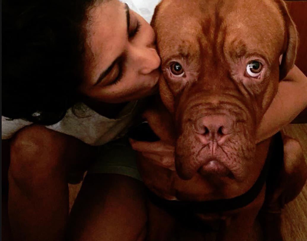 প্রিয় পোষ্যর সঙ্গে প্রায়ই হারলিন ছবি পোস্ট করেন।