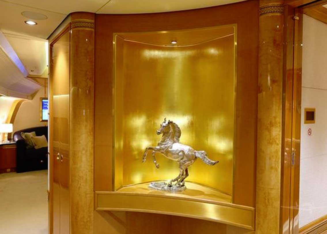 এ সবের সঙ্গে বিমানের প্রত্যেকটা অংশই খুব নিখুঁত ভাবে সাজিয়ে তোলা হয়েছে। রয়েছে রাজকীয়তার ছাপ।