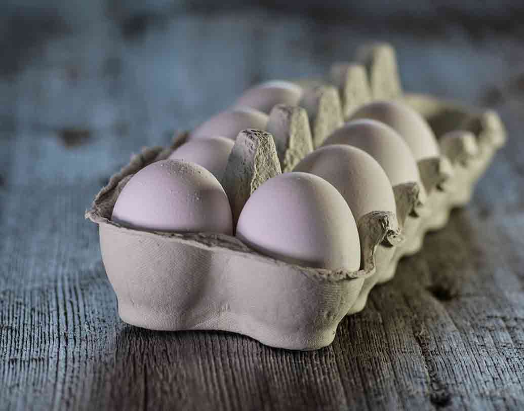 অনেক শিশুই মাছ পছন্দ করে না। অথচ সামুদ্রিক মাছের ক্যলসিয়াম তার বড় প্রয়োজন। এমন হলে সেই ঘাটতি ঢাকতে ডিম দিন শিশুকে রোজ। ব্রেকফাস্ট ছাড়াও দিনের যে কোনও সময়ই ডিম দিতে পারেন তাকে। একটি সিদ্ধ ডিমে ৫০ মিলিগ্রাম ক্যালসিয়াম থাকে। ছবি: পিক্সঅ্যাবে।