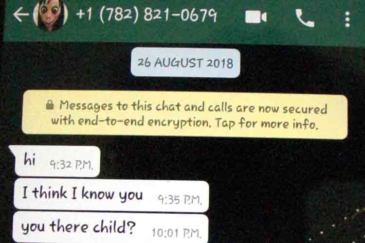 আতঙ্ক: সেই মেসেজ।