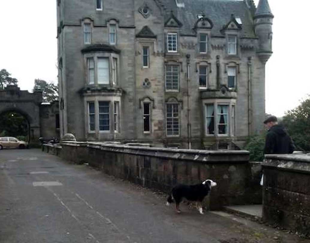 প্রাণীবিদ স্যান্ড নিজের কুকুর হেনড্রিক্সকে নিয়ে সেতু পার হন। তবে তিনি জানান, সেতু পার হওয়ার শেষ মুহূর্তে হেনন্ড্রিক্স খুবই বিচলিত হয়ে ওঠে। বয়সের কারণে ব্রিজের ওপর থেকে লাফানোর সামর্থ্য হেনন্ড্রিক্সের ছিল না। তাঁর ধারণা, গন্ধের কারণেই অস্থির হয়ে উঠেছিল তাঁর পোষ্য।