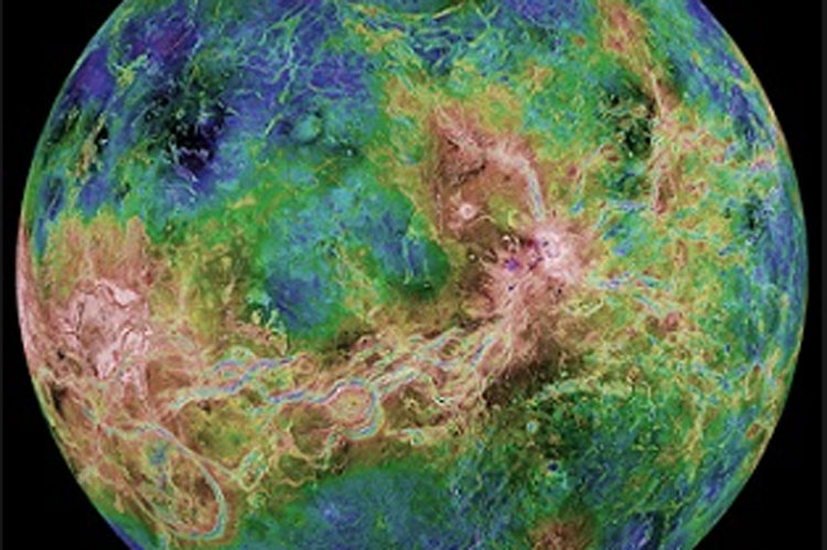 Effects of negative Venus and its remedies dgtl