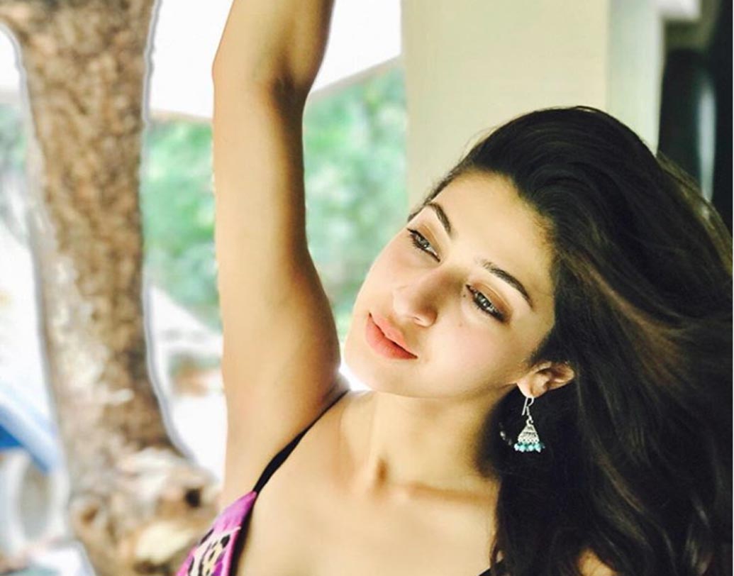 তবে ‘দেবো কা..’ সোনারিকার প্রথম সিরিয়াল নয়। ২০১১ সালে ‘তুম দেনা সাথ মেরা’ সিরিয়ালে প্রথম দর্শকরা তাঁকে দেখতে পান। বেশ জনপ্রিয় হয়েছিলেন সোনারিকা।