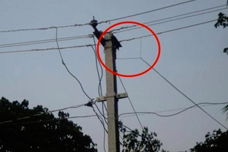 Mamata Banerjee orders to take action to prevent electricity theft