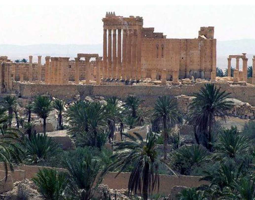 ২০০২ সাল নাগাদ এই বিরল প্রজাতির পাখির ছোট্ট একটা প্রজনন ক্ষেত্র পাওয়া গিয়েছিল সিরিয়াতে। কিন্তু লেবাননের দ্য সোসাইট ফর দ্য প্রোটেকশন অফ নেচার ২০১৫ সাল নাগাদ জানায়, আইএস আক্রমণের কারণে এই এলাকাতেও আর পাখির খোঁজ মিলছে না।