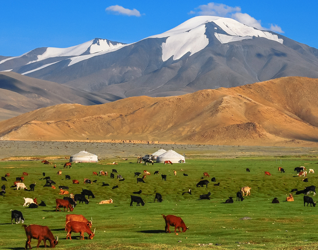 মঙ্গোলিয়া: ভারতীয় এক টাকার দাম এই দেশে প্রায় ৩৪ মঙ্গোলিয়ান টুগরিকের সমান। নোমাডিক সংস্কৃতি জানতে চাইলে বেড়ানোর জন্য এই দেশ আদর্শ।
