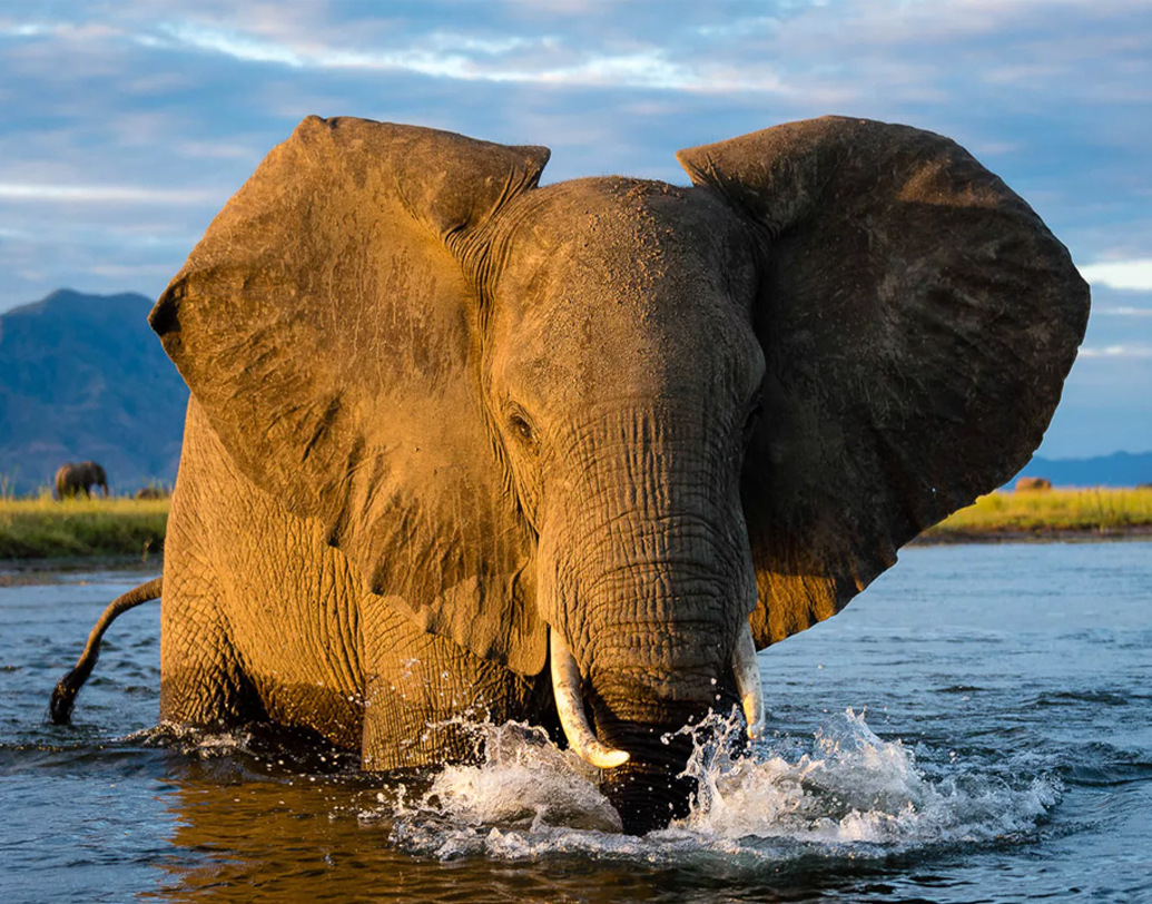 জ়িম্বাবোয়ে: ভারতীয় এক টাকা এই দেশের ১.৪ ডলারের সমান। বন্য প্রাণ, হোয়াইট রিভার র‌্যাফটিং, বাঞ্জি জাম্পিং সবকিছু এক সঙ্গে পেতে চাইলে এই দেশ বেড়ানোর জন্য আদর্শ।