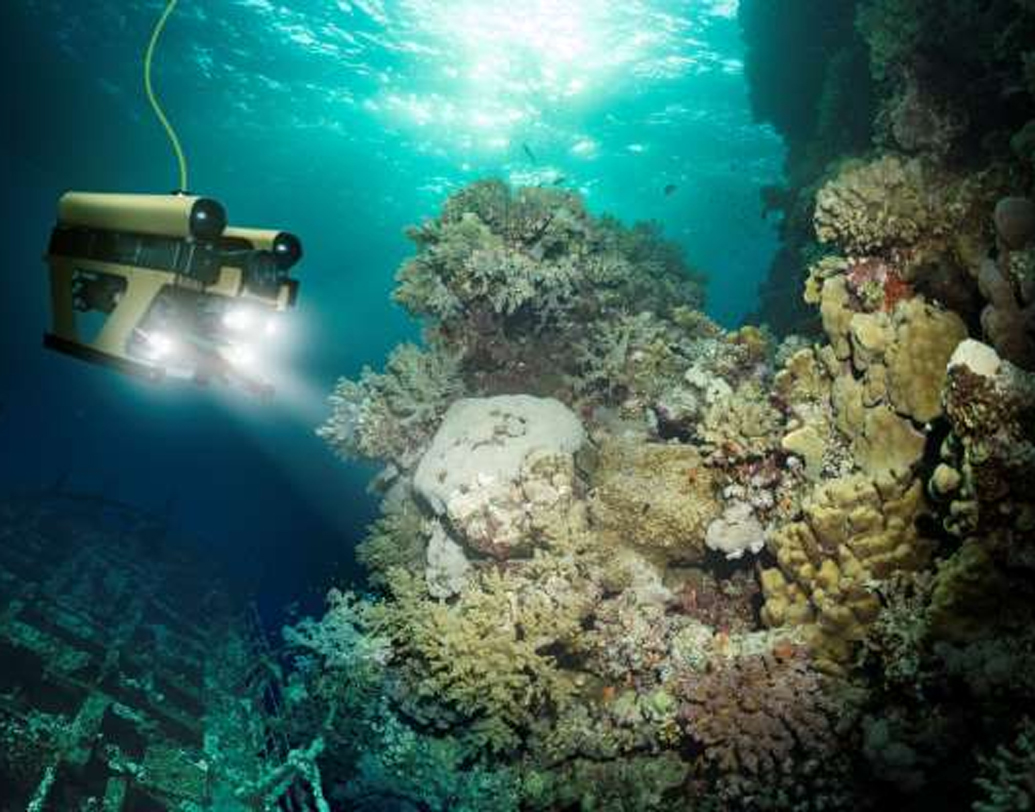 আবহাওয়া একেবারেই প্রতিকূল ছিল না, তাও নাকি ওই এলাকার আশপাশে এলেই জাহাজ নিখোঁজ হয়ে যাচ্ছিল। কিন্তু রেডিও সিগন্যালে নাকি বার্তা পাওয়া যায়নি।