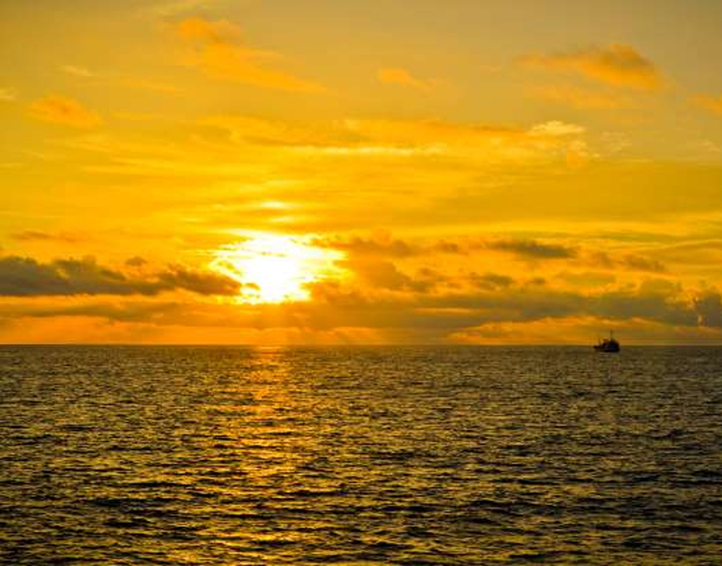 জাপানের উপকূলরক্ষী বাহিনীর কাছে নাকি এ রকম কোনও খবরই নেই, এমনটাই লিখেছিলেন ল্যারি কুশে। তাই ২ লক্ষ টনের সামরিক জাহাজ বা ৭০০ সৈন্য নিয়ে জাহাজ উধাও হয়ে যাওয়ার মতো খবরগুলি একেবারেই ভিত্তিহীন বলে দাবি করেন তিনি।