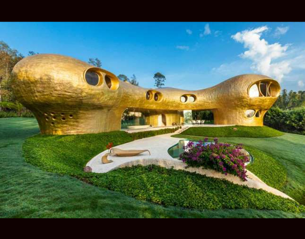 অ্যামিবা হাউস, এক্কেবারে সমুদ্রের তলায় যেন কোনও রাজার বাড়ি। ব্রাজিলের রাজধানী সাও পাওলো থেকে ১২০ কিমি দূরে এই প্রাসাদে থাকতে পারেন। খরচ যদিও ২৮ লক্ষের কাছাকাছি, দৈনিক। তবে তা কমেও যায়।