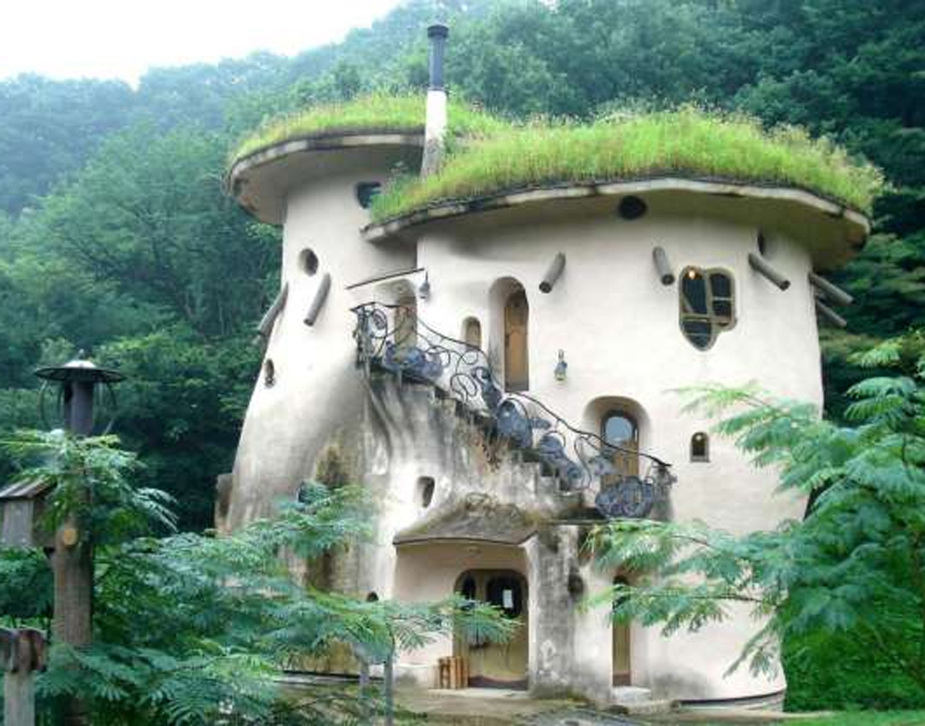 জাপানের সাইতামার ফিনিশ মুমিন হাউজ। তোবে জনসনের লেখা ফিনিশ মুমিন সিরিজের মতোই এই বাড়ি। এখানেও থাকতে পারেন। ভাড়া দৈনিক ৮২০০ টাকার কাছাকাছি।