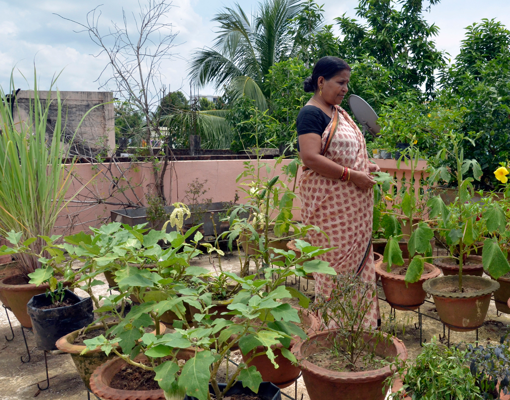 হাওয়া, আলো এগুলোর সঙ্গে নজর রাখুন কিচেন গার্ডেনের জন্য বাছা জায়গায় জমা জল সরে যাওয়ার পদ্ধতিও যেন থাকে। তেমন জায়গার অভাব হলে বারান্দা, রোদ-বাতাস ঢোকে এমন জানলার ধার, এমনকি ছাদেও ছোট আকারে বানাতে পারেন কিচেন গার্ডেন। —ফাইল চিত্র।