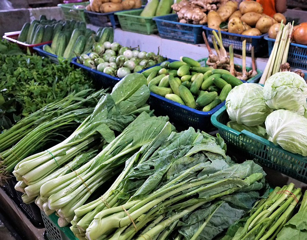 প্রথম দিকে সহজ পরিচর্যা ও দ্রুত ফলনশীল কিছু গাছের চারা কিনুন। পুদিনা পাতা, পার্শলে পাতা, লেটুস, পেঁয়াজ, টম্যাটো, লঙ্কা, বেগুন, উচ্ছে এ সবের বনসাই করুন। এ সব পাতা ও ফসল উৎপন্ন করার পরিশ্রম কম।  সময়ও লাগে কম। প্রথম দিকে সাফল্য এলে গাছের প্রতি নেশা ও বাগানের শখও বাড়বে। ছবি: পিক্সঅ্যাবে।