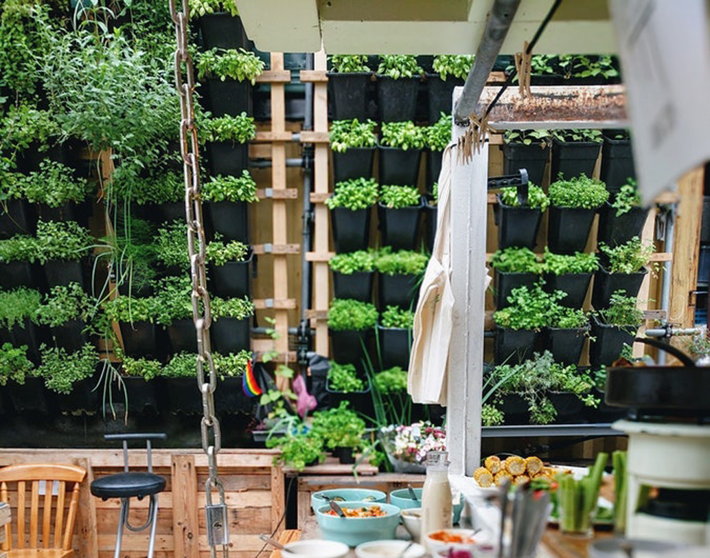 সাকসেশন প্ল্যান্টিংয়ের কথা ভাবুন। একই জমিতে অনেক গাছকে নিয়ম করে এক একটা সারি বা এলাকা ভিত্তিক উপায়ে ভাগ করে নেওয়া সাকসেশন প্ল্যান্টিংয়ের একটা ধরন। এমন ধরনের প্ল্যান্টিংয়ের মজা হল এক সঙ্গে অনেক ফসল মেলে। ছবি: আনস্প্ল্যাশ।