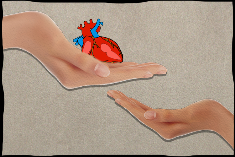 son would be survived within three organ receivers, hopes mother