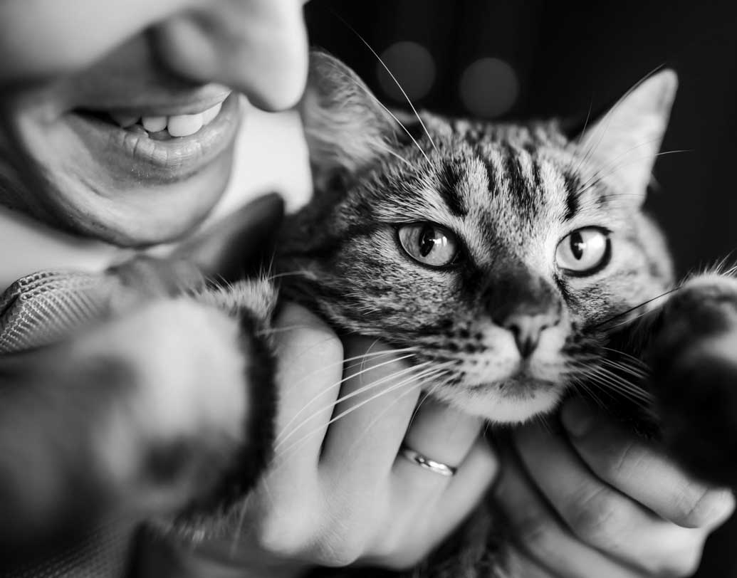 আপনার পোষ্যটিকে তিনিও খুব আদর করছেন, একই রকম ভালবাসছেন— এমন হলে কিন্তু বুঝতে হবে যাঁকে নিজের প্রতি দুর্বল বলে ভাবেন, তিনি সত্যিই দুর্বল আপনার প্রতি। পোষ্যকে ভালবাসা সাধারণত নিজের দুর্বলতা প্রকাশের একটা মাধ্যম। ছবি: শাটারস্টক।