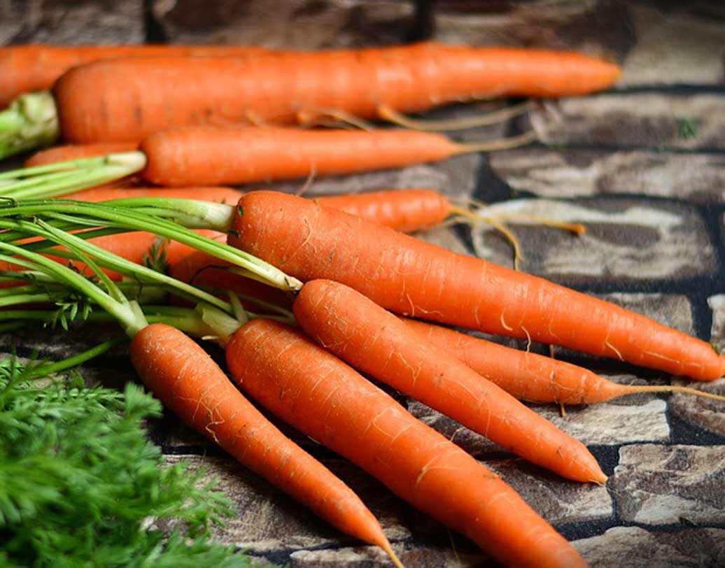 গাজর: এমনিতেই গাজর ওজন কমাতে খুব সাহায্য করে। গাজরে থাকা খনিজ পদার্থ ও ভিটামিন শরীরকে রোগের সঙ্গে লড়ার শক্তি প্রদান করে। তাই প্রতি দিন গাজর খেলে কমে সাধারণ অসুখবিসুখের প্রবণতা। তবে গাজর কাঁচা না খেয়ে সিদ্ধ করে বা ভাপিয়ে খান, তাতে গাজরের খাদ্যগুণ বাড়ে। ছবি: পিক্সঅ্যাবে।