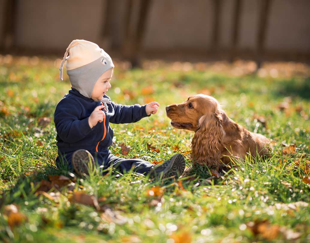 অচেনা কারও সঙ্গে শিশু কি সহজেই মানিয়ে নিতে পারে? যদি তেমন হয়, তা হলে যোগাযোগ ও সম্পর্ক তৈরির ক্ষেত্রে আপনার সন্তান অনেকটা এগিয়ে। বাড়িতে পোষ্য থাকলে তার প্রতিও শিশুর ব্যবহার লক্ষ্য রাখুন। এতে শিশুর সাহস ও মানসিক বিকাশের পরিমাপ বোঝা যায়। ছবি: শাটারস্টক।