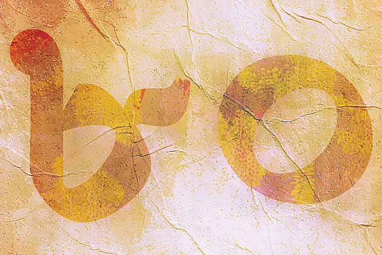 Article on Narendrapur Ramakrishna Mission's 60 years celebration