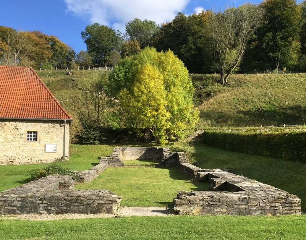 ডেন্টাল প্লেকে ওই রং ‘ফসিলাইজড’ হয়ে রয়ে গিয়েছে বলে জানিয়েছেন বিজ্ঞানীরা। জার্মানির ডালহেইমের মধ্যযুগীয় মঠের মধ্যে একটি কঙ্কালের মধ্যে থেকে এটি উদ্ধার হয়েছে।