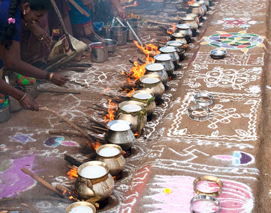 বাংলায় যেমন পাটিসাপটা পুলি পিঠে, তেমন তামিলনাড়ুতে এই সময়ে পোঙ্গল উৎসবে হয় আখ ও তিলের মিষ্টি। পঞ্জাবের লোহ্রির মতোই তামিলরা প্রথম দিনে কাঠকুটো জড়ো করে আগুন জ্বালান এবং সেই আগুনে পুরনো পোশাক ও অন্যান্য জিনিসপত্র আহুতি দেন।
