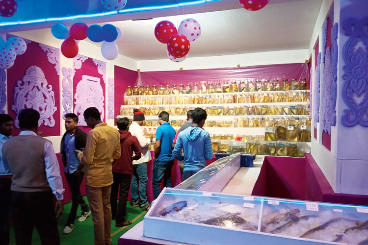 People are gathered to enjoy the sea food festival at Digha