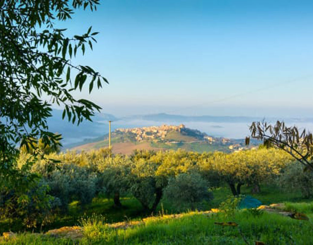 সাম্বুকা গড়ে তোলে প্রাচীন গ্রিকরা। পরবর্তীকালে এখানকার রাজা সারাসেনস সাম্বুকাকে সমৃদ্ধ বাণিজ্য নগরীতে পরিণত করেন। আমির আল জাবুতের নামে শহরটির নামকরণ হয়েছে। বর্তমানে শহরটির বৈচিত্র্যপূর্ণ স্থাপত্যশৈলীতে আরব প্রভাব স্পষ্ট।