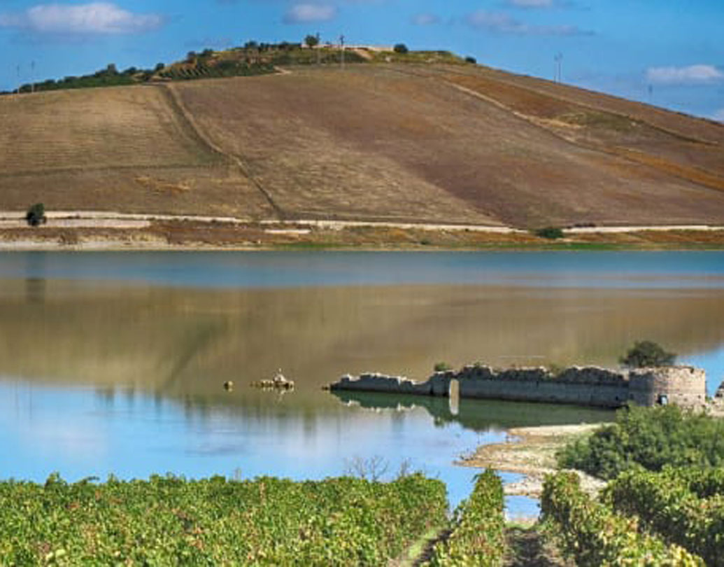 ১ ইউরোতে বাড়ি কেনা গেলেও একটি শর্ত আছে। নতুন মালিককে বাড়িটি সংস্কার করতে হবে। আর তা করতে হবে তিন বছরের মধ্যে।