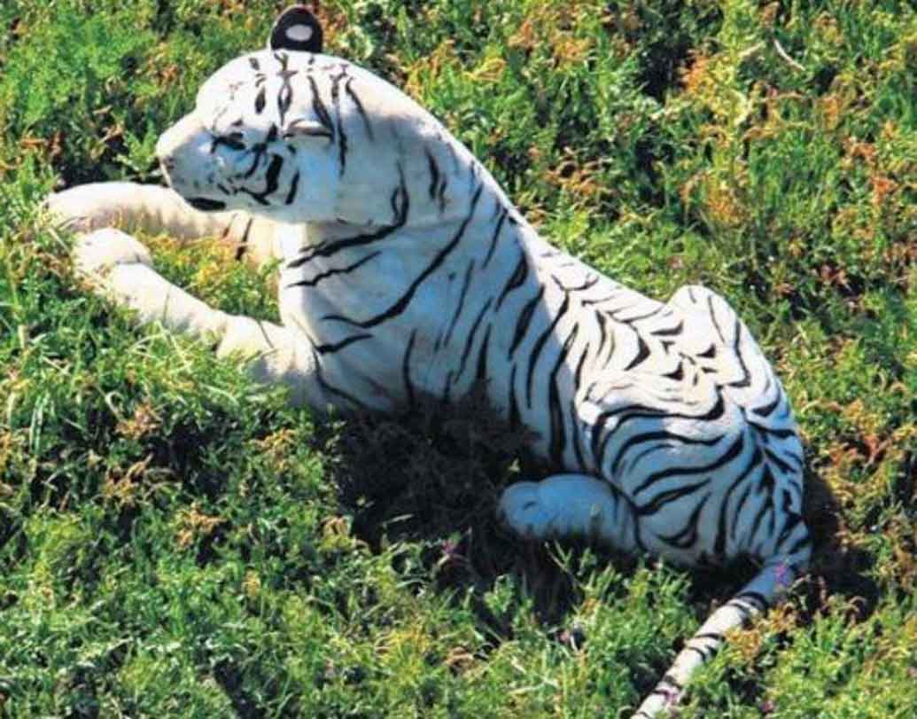 ২০১১ সালে রোজবউল ক্রিকেট গ্রাউন্ডে হ্যাম্পশায়ারের ক্রিকেট ম্যাচে রটে যায়, একটা সাদা বাঘ বসে রয়েছে মাঠের কাছেই। হেলিকপ্টারও চক্কর দেয় তার উপরে। জানা যায় সেটি একটি সফ্ট টয়। বাঘের আতঙ্কে ২০ মিনিট খেলা বন্ধ ছিল।