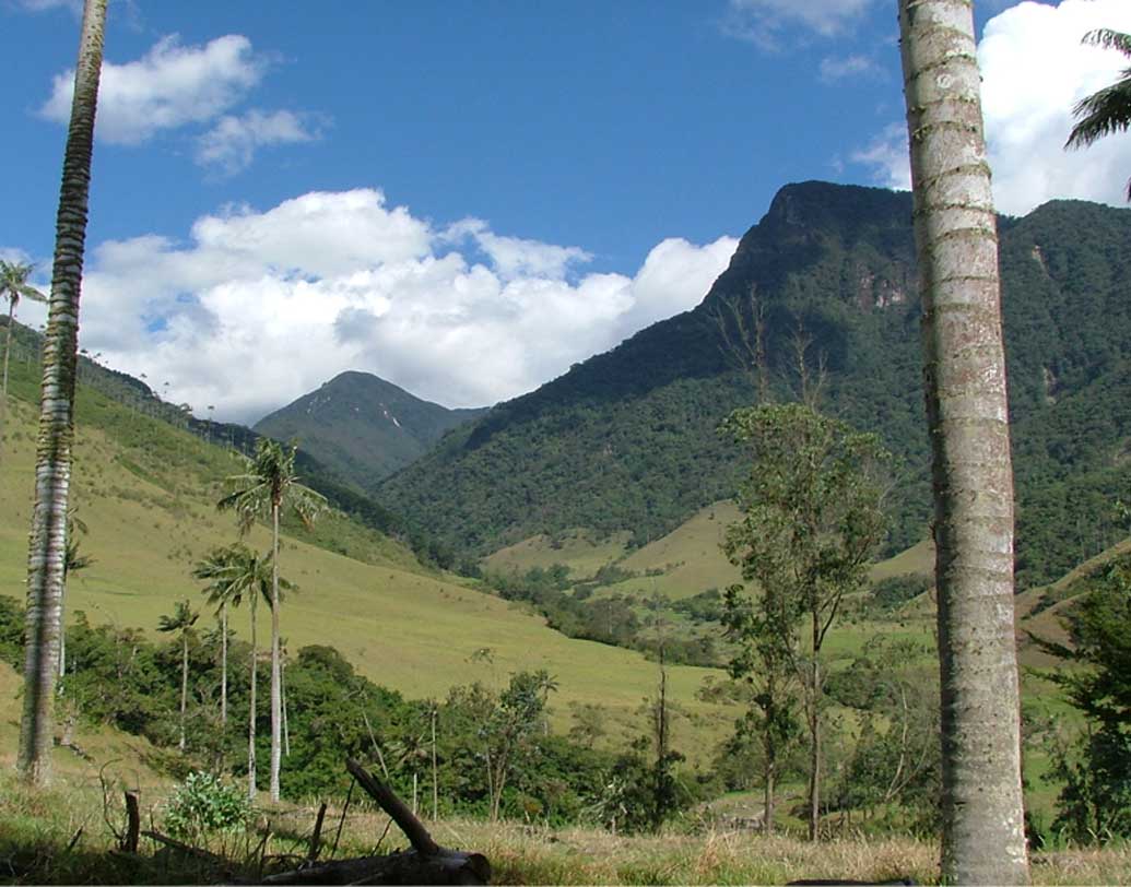 কলম্বিয়ার ককা উপত্যকায় পাওয়া এই সোনার মুখোশ প্রথম লুকিয়ে রেখেছিলেন ওই কৃষিজীবী। কিন্তু এই খবর চাপা থাকেনি। প্রায় ৫০০ বর্গমিটার বিস্তৃত ছিল এই চাষের জমি, যা পরে প্রত্নতাত্ত্বিক স্থানের তকমা পায়।