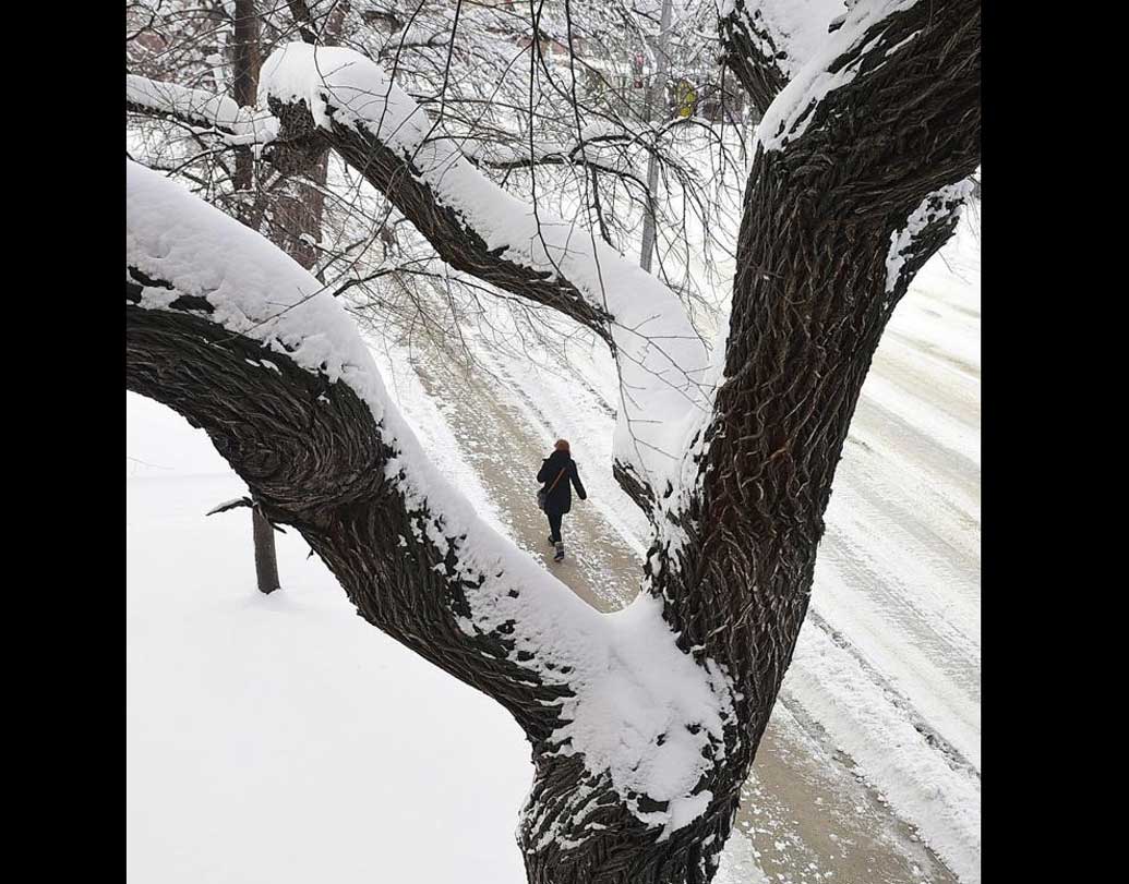 গত এক সপ্তাহ ধরে হিমাঙ্কের চেয়ে ৩০ ডিগ্রি নীচে রয়েছে তাপমাত্রা। শুক্রবার থেকে শনিবার, ২৪ ঘণ্টায় বরফ পড়েছে প্রায় ১৭ ইঞ্চি।