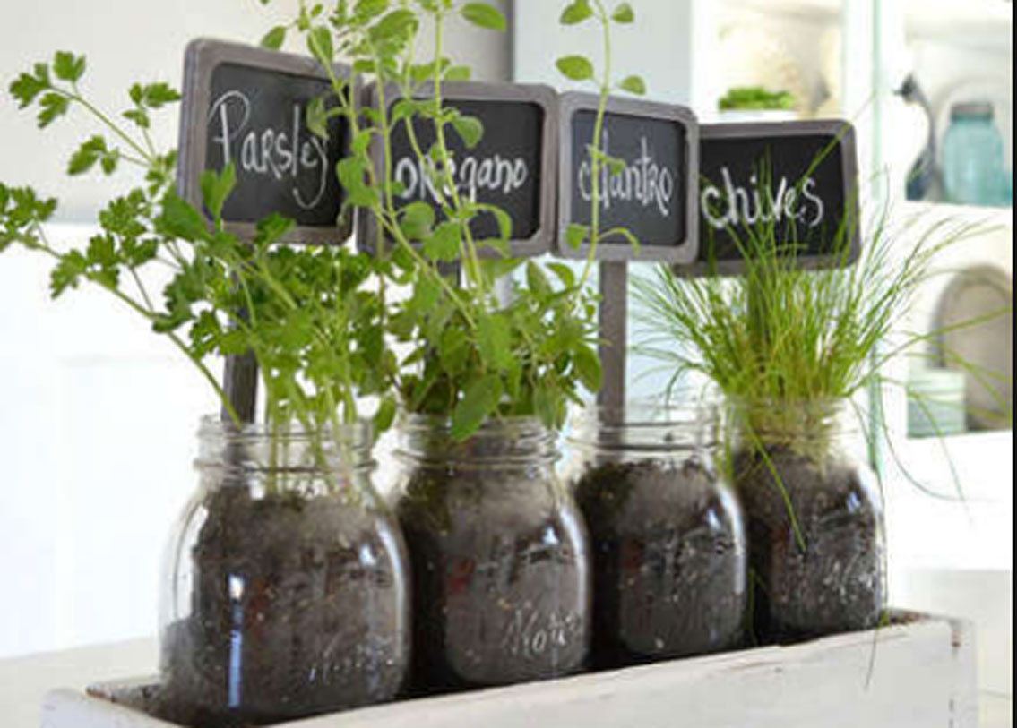 এমনকি, নিজের বাগানের গাছেরও যত্ন নিতে পারেন এই কফি দিয়ে। জলের সঙ্গে মিশিয়ে বা জৈব সারের সঙ্গে মিশিয়েও দিতে পারেন। এতে মাটির নাইট্রোজেন বৃদ্ধি পায়। গাছের বৃদ্ধিও ভাল হয়। তবে কফির মাত্রা যেন খুব বেশি না হয়, লক্ষ রাখবেন।