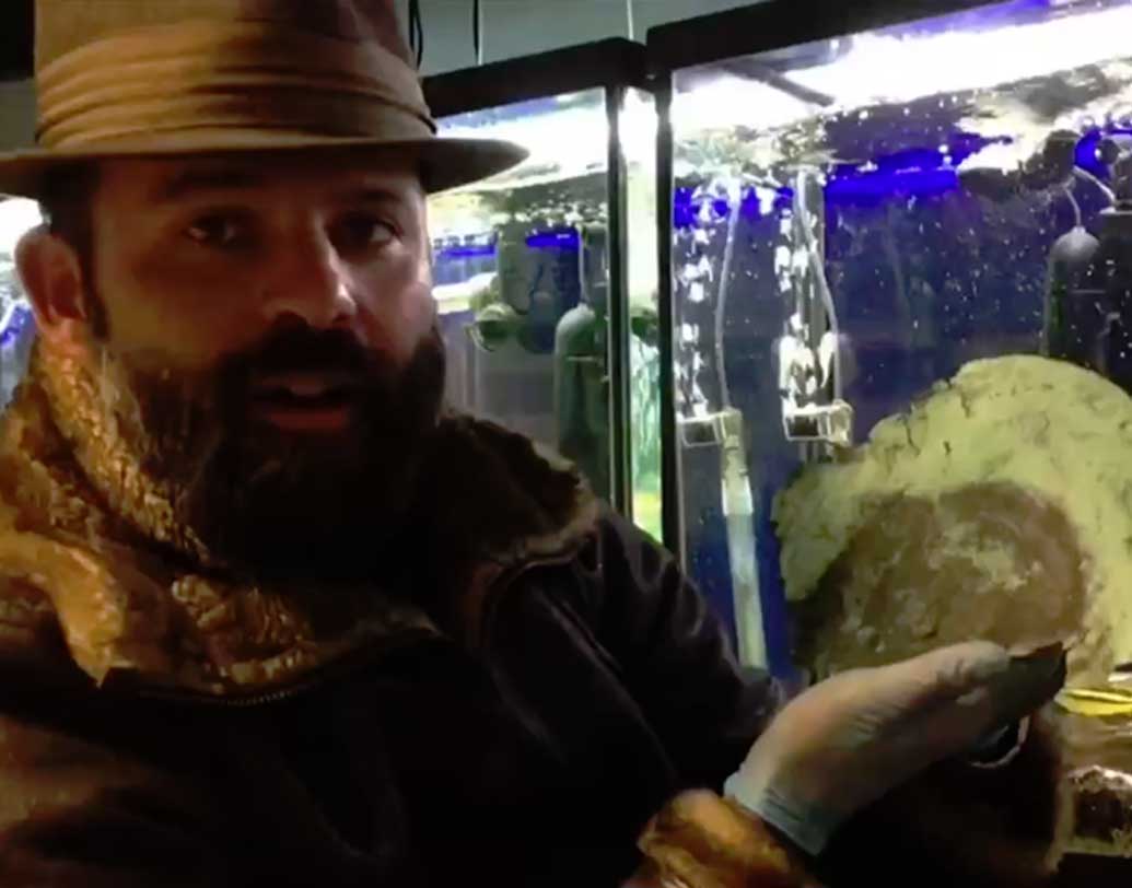 গত ১১ বছর ধরে মাইক টোরেজ নামে এক অধ্যাপক এই জাহাজটির খোঁজ করছিলেন বেশ কয়েক বছর ধরেই। সেই খোঁজ করতে গিয়েই সমুদ্রতটে ভেসে আসা এই মুখোশের সন্ধান মেলে।