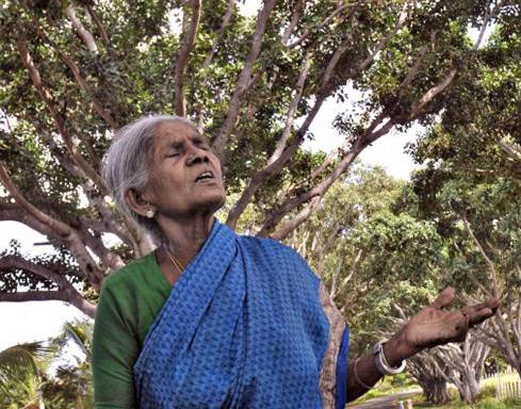 তার পর থেকেই থিম্মাক্কা একা রইলেন গাছ সন্তানদের পরিচর্যায়। একঘরে, একলা হয়ে যাওয়া থিম্মাক্কার দৃঢ় মনোভাবে টাল খায়নি। যে পরিবার ছিল একঘরে। সেখান থেকেই থিম্মাক্কার কাজের প্রতি সম্মান দেখিয়ে গ্রামবাসীরা তাঁকে ‘সালুমারাদা’, বলে ডাকতে শুরু করলেন। কন্নড় ভাষায় যার অর্থ ‘গাছেদের সারি।’