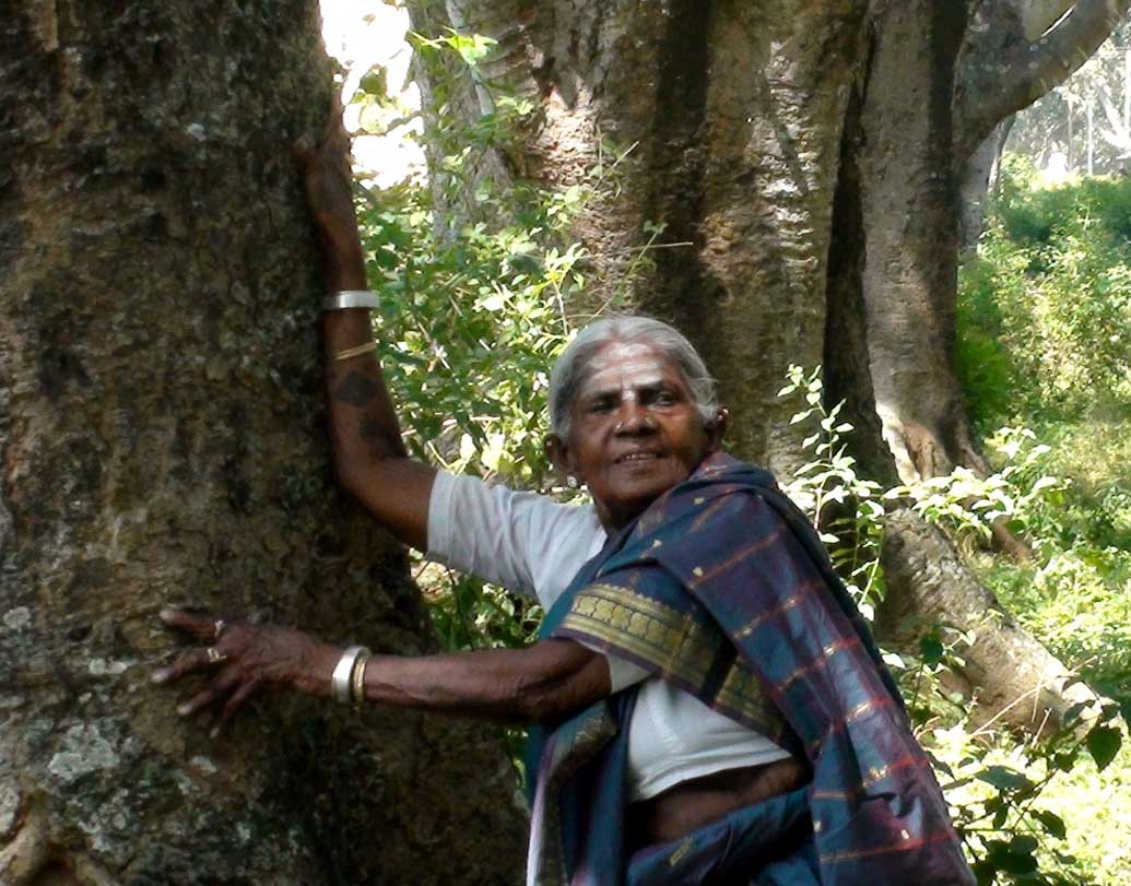 তবুও সালুমারাদা থিম্মাক্কা লোকচক্ষুর আড়ালেই রয়ে যেতেন। স্থানীয়দের মধ্যমেই তাঁর কথা ধীরে ধীরে ছড়িয়ে পড়তে থাকে। ১৯৯৬ সালে ‘জাতীয় নাগরিক সম্মান’ ভূষিত হওয়ার পর তাঁর কথা জানতে পারে গোটা দেশ। বেশ কিছু আন্তর্জাতিক সংস্থা এগিয়ে আসে তাঁকে সাহায্য করতে।