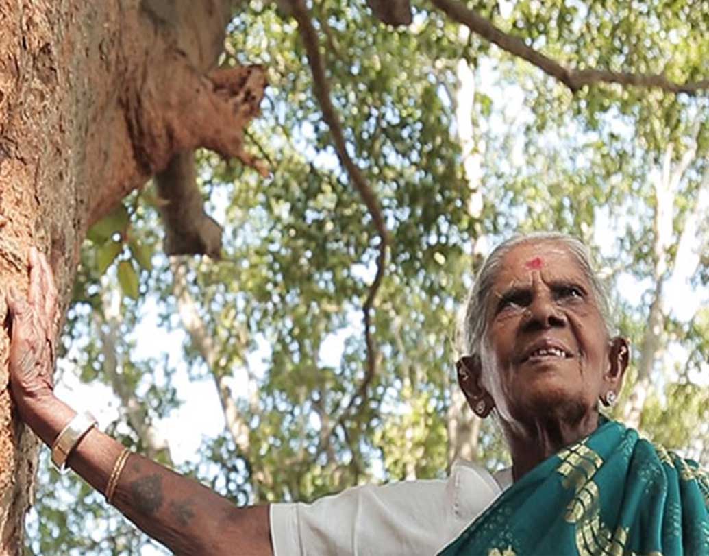 বর্তমানে থিম্মাক্কার গাছগুলিকে দেখভালের দায়িত্ব নিয়েছে কর্নাটক সরকার। সেই প্রসঙ্গে একটি সাক্ষাৎকারে তিনি বলেছিলেন, সন্তানদের নিজে প্রতিপালন করতে পারলেই তিনি খুশি হতেন। কারণ কখনওই কারও সাহায্য চাননি তাঁরা।