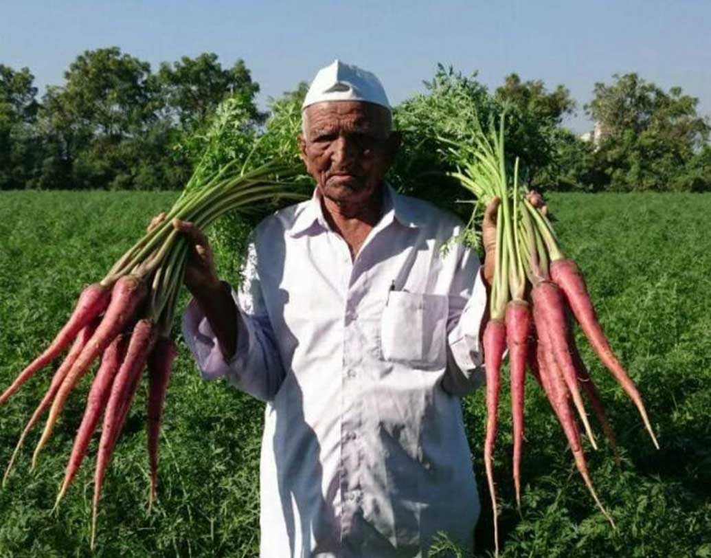 বল্লভভাই ভাশ্রমভাই মারভানিয়া গুজরাতের জুনাগড়ের কৃষক। বয়স ৯৭। ১৯৪৩ সালে প্রথম গুজরাতবাসীকে গাজর চেনান। গুজরাতের মানুষ জানতেন না, এটা মানুষও খেতে পারে। জুনাগড়ের নবাব মহম্মদ মহব্বত খান-৩ দেশভাগের পর পাকিস্তানে চলে যান। তিনিই গাজরের কদর করায় তা আস্তে আস্তে গ্রহণযোগ্য হয়। ৫ একর জমিতে ডাল-সহ অন্য শস্যও ফলাতেন বল্লভভাই।