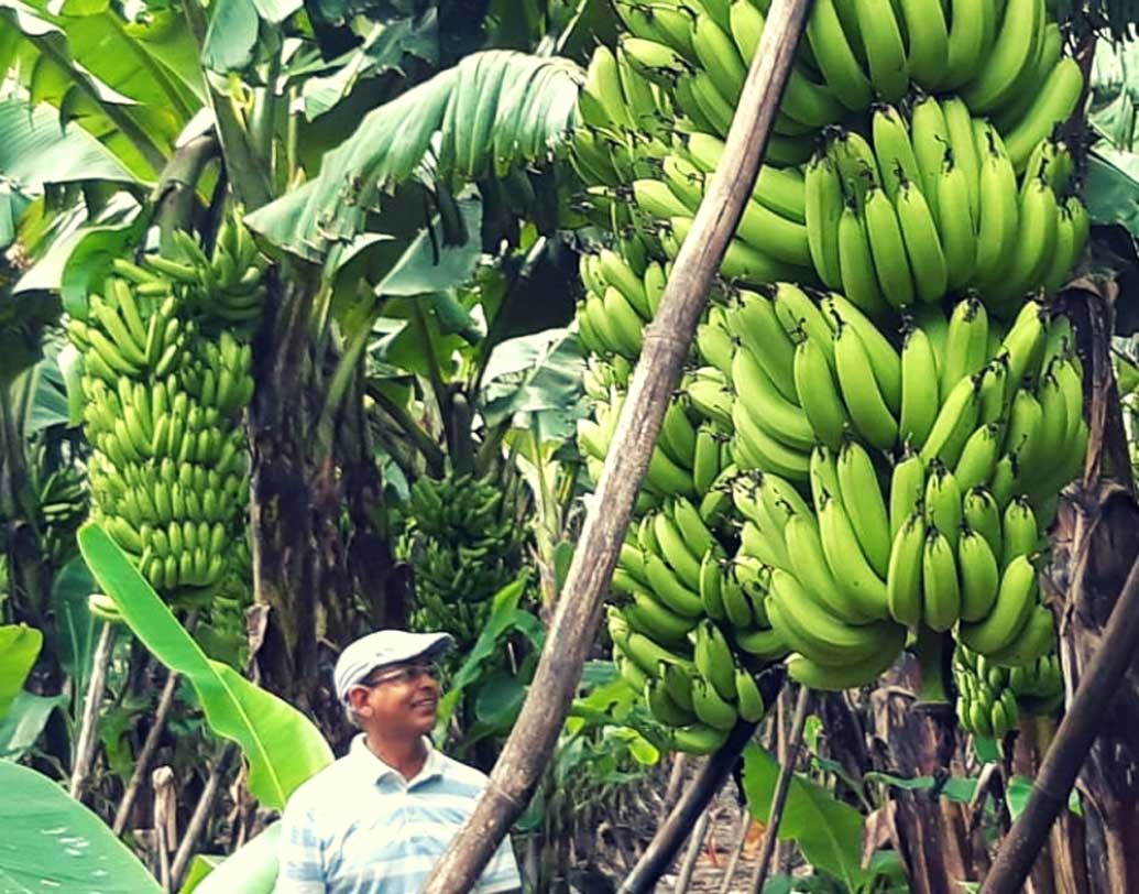 রাম শরণ বর্মা উত্তরপ্রদেশের বরাবাঁকি জেলার কৃষিজীবী। কলা চাষে ‘টিস্যু কালচার’ প্রয়োগ করেছিলেন প্রথম। প্রতি মাসে ১৫০ একর জমি থেকে মোট ৩-৪ লক্ষ টাকা রোজগার করেন।এই হাই-টেক কৃষিজীবীর কাছে প্রশিক্ষণ নেওয়া কৃষকদের লভ্যাংশও প্রায় ৪ লক্ষের কাছাকাছি। ফলিয়েছেন লাল কলাও। যার দাম প্রতি কিলোগ্রাম ৮০-১০০ টাকা। তাঁর বার্ষিক আয় ২ কোটি টাকার কাছাকাছি।