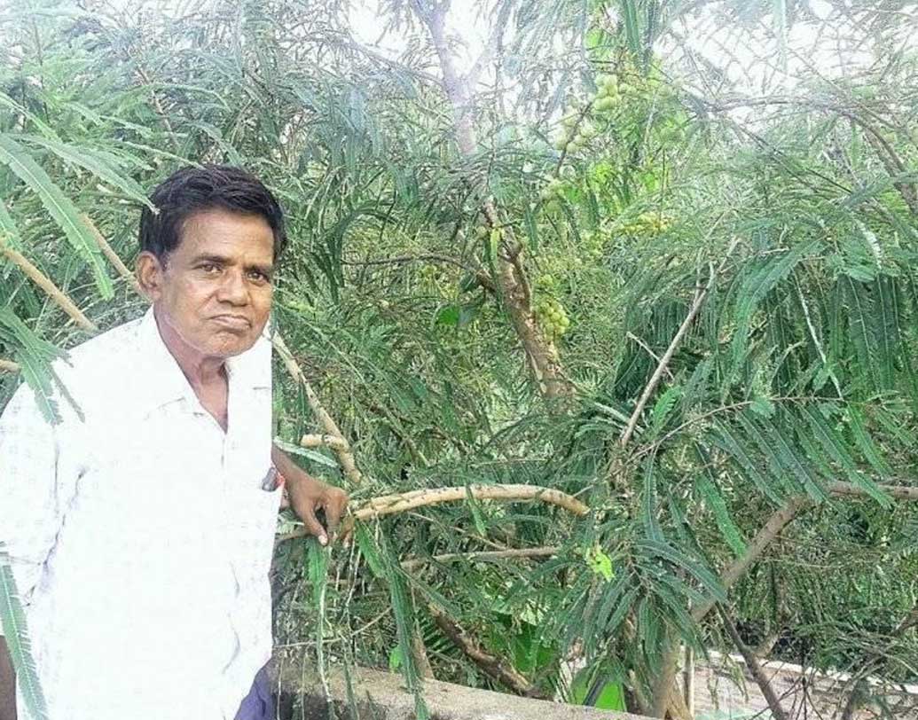 মধ্যপ্রদেশের পিথাউরাবাদের বাবুলাল দাহিয়া। বয়স ৭২। নিজের ২ একর জমিতে ২০০ রকমের ধানের প্রজাতি ফলিয়েছেন তিনি। লোকগথায় উল্লিখিত ধানের প্রজাতি সংগ্রহ করে সেগুলিকে সংরক্ষণের ব্যবস্থাও করেছেন এই অর্গ্যানিক ফার্মার।