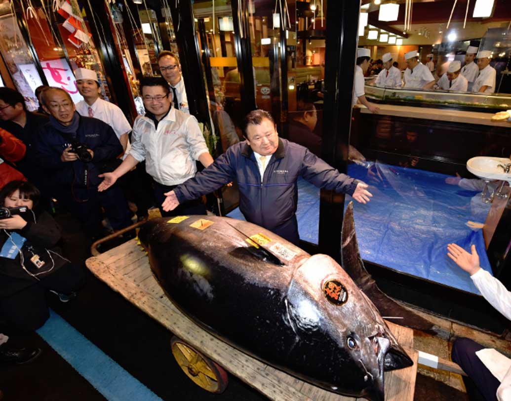 জাপানের ওই ব্যবসায়ীর নাম কিয়োশি কিমুরা। এর আগেও ২০১৩ সালে এরকমই একটি ‘কিং টুনা’ কিনে সকলকে তাক লাগিয়ে দিয়েছিলেন কিয়োশি। সে সময়ে তিনি প্রায় ১০ কোটি টাকা দিয়ে মাছটি কিনেছিলেন।