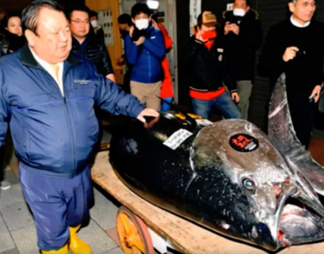 টোকিওর সুকিজিতেই একটি রেস্তরাঁ চালান ব্যবসায়ী কিয়োশি কিমুরা। নিলামের পর বললেন, ‘‘এটাই সেরা টুনা। তবে, আমি যে দামটা ভেবেছিলাম, তার থেকে এর দাম অনেক বেশি। যাই হোক, আমাদের রেস্তরাঁর কাস্টমাররা খুব ভাল একটা টুনা মাছ খেতে পারবেন।’’