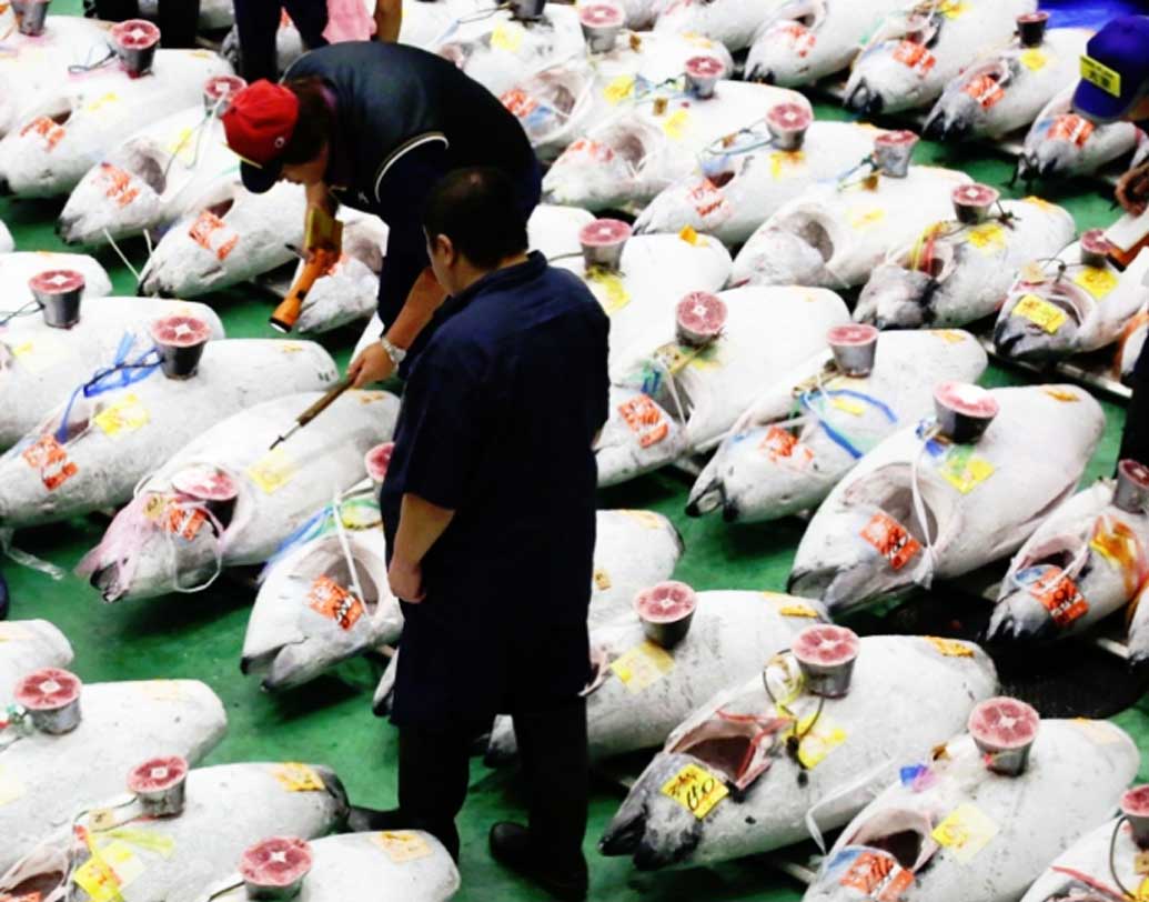 সুকিজি বিশ্বের নামকরা মাছের বাজারগুলির একটি। ব্যস্ত এই মাছের বাজারকে ঘিরে রয়েছে একাধিক রেস্তরাঁ। এলাকায় ঢুঁ মারলেই কানে আসবে মাছের দর কষাকষির আওয়াজ। সুকিজি এখন পর্যটকদেরও ঘুরতে যাওয়ার জায়গা হয়ে গিয়েছে।